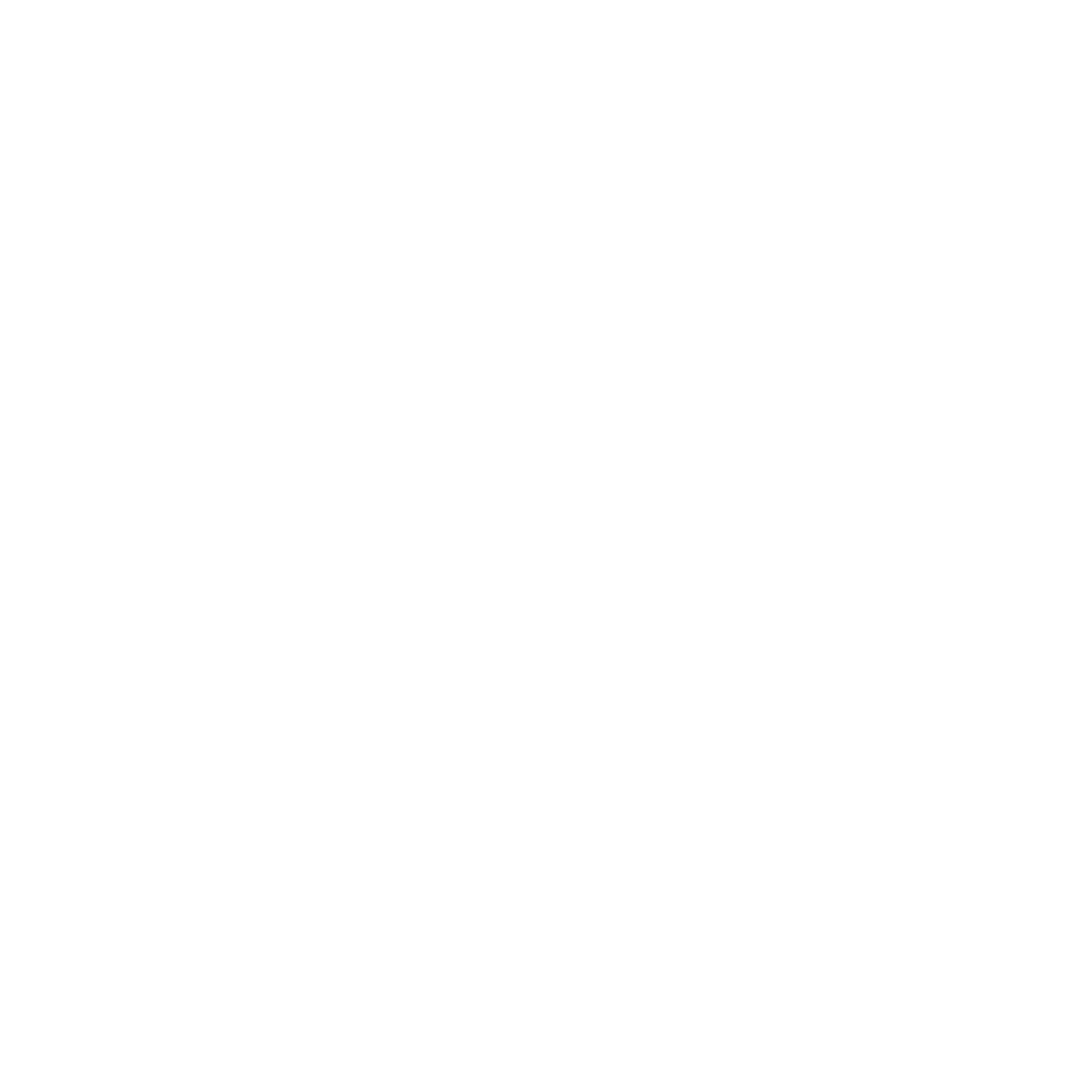 MORBIDELLI